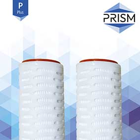 FC-SPGF-10-R20-1S-P    PRISM PLUS RANGE :  Pleated GF Filter 10 micron 20'' DOE/Silicone Gaskets