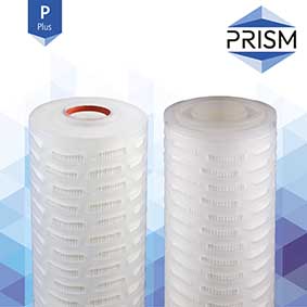 FC-SPGF-5-R20-9S-P    PRISM PLUS RANGE :  Pleated GF Filter 5 micron 20