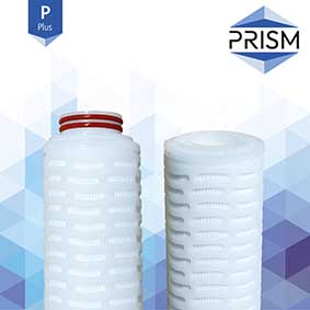 FC-SPPES-0.05-R10-3S-M    PRISM MAX RANGE :  Pleat PES Filter 0.05 micron 10