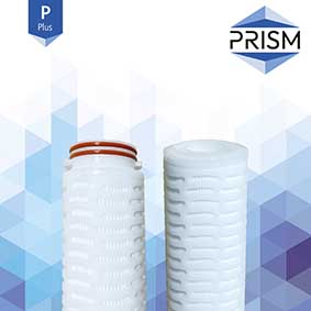 FC-SPPES-0.05-R10-2S-M    PRISM MAX RANGE :  Pleat PES Filter 0.05 micron 10