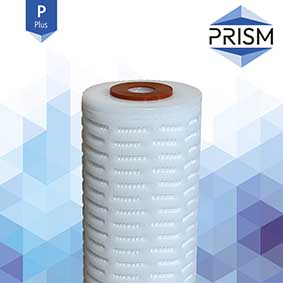 FC-SPPP-0.1-L10-1S-P  PRISM PLUS RANGE : Pleated Polypro Filter 0.1 micron 93/4'' LD DOE/Silicone Gaskets