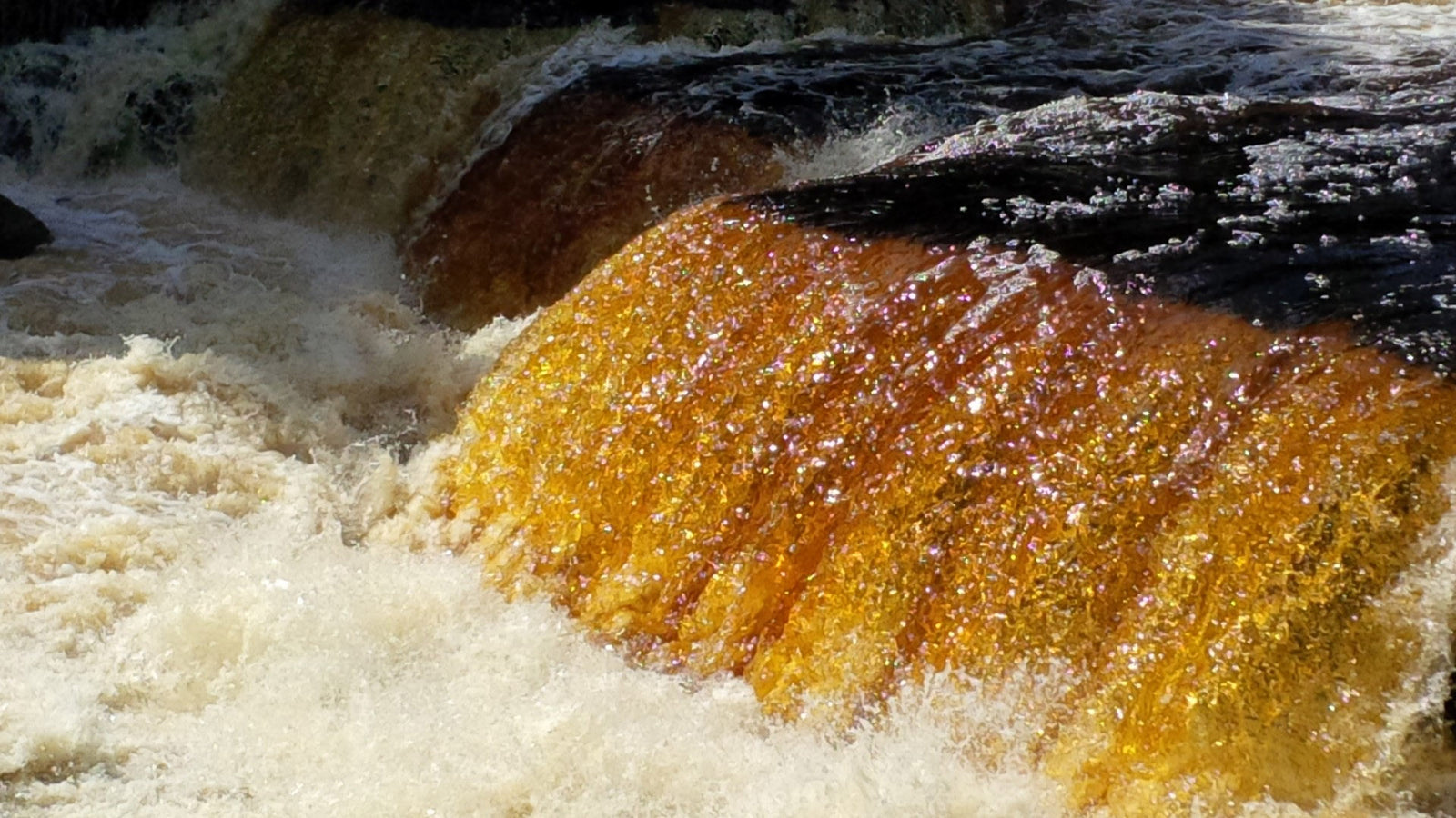 Removing Organics from Water