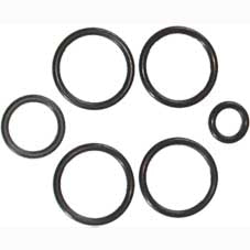 Autotrol 1001404 255 O-Ring Group: Interstage (Between Top/Bottom Plates)