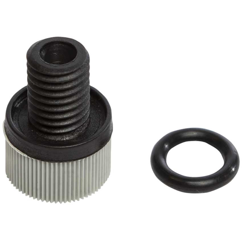 Cintropur Air Screw (Flush Screw) with O-Ring