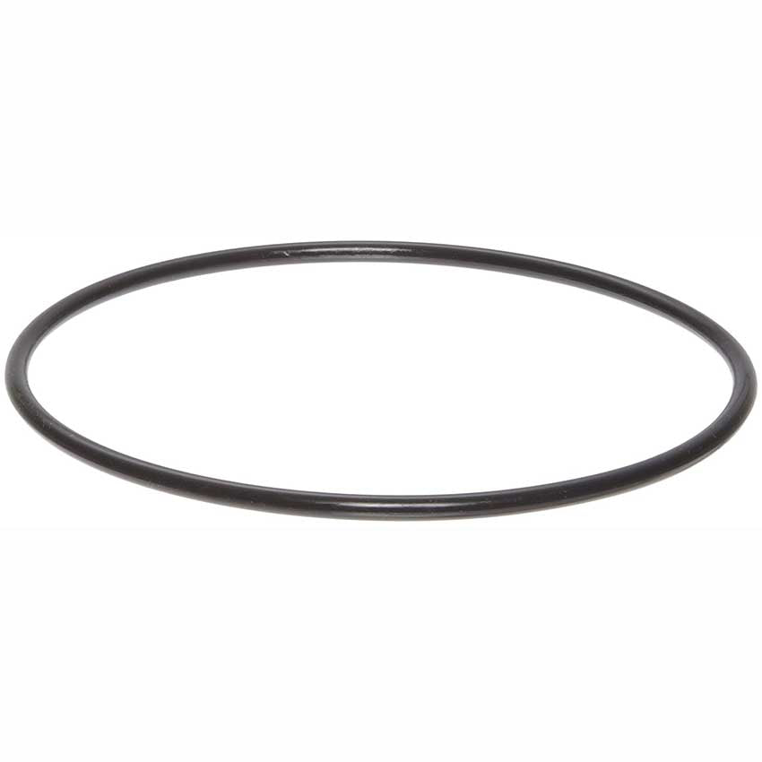 Watts Big Bubba Filter Housing Lid O-Ring BB-ORING-E 68100619