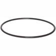 EFHLD-O Ring-Buna : SPECTRUM Buna O-ring for EFH 10" & 20" Large Diameter